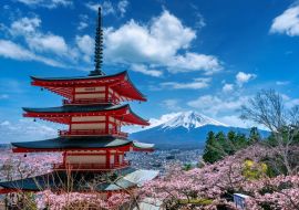Lais Puzzle - Kirschblüten im Frühling, Chureito-Pagode und Fuji-Berg in Japan - 1.000 Teile