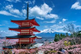 Lais Puzzle - Kirschblüten im Frühling, Chureito-Pagode und Fuji-Berg in Japan - 2.000 Teile