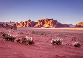 Lais Puzzle - Frühling Wadi Rum Wüste - Tal des Mondes in Jordanien - 1.000 Teile