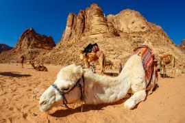 Lais Puzzle - Kamele in der Wüste Wadi Rum in Jordanien - 2.000 Teile