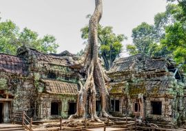 Lais Puzzle - Ta-Prohm-Tempel, Kambodscha - 1.000 Teile