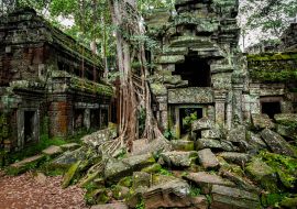 Lais Puzzle - Tempel von Angkor Wat, wo der Dschungel die Ruinen in der Nähe der Stadt Siem Reap in Kambodscha teilweise überwuchert hat - 1.000 Teile
