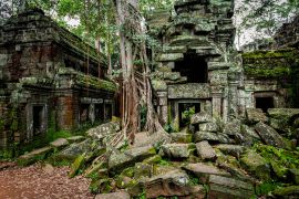 Lais Puzzle - Tempel von Angkor Wat, wo der Dschungel die Ruinen in der Nähe der Stadt Siem Reap in Kambodscha teilweise überwuchert hat - 2.000 Teile