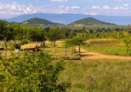 Lais Puzzle - Die Landschaft in der Region Kampot, Kambodscha - 1.000 Teile