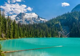 Lais Puzzle - Majestätischer Bergsee in Kanada. Blick auf den Upper Joffre Lake Trail - 1.000 Teile