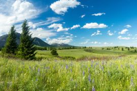 Lais Puzzle - Prärie und Berge im Waterton Lakes Nationalpark, Alberta, Kanada - 2.000 Teile