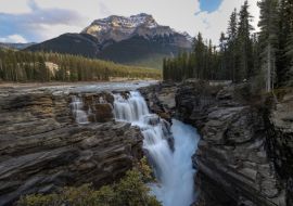 Lais Puzzle - Athabasca Falls und Berg - 1.000 Teile