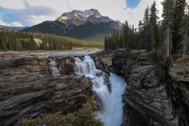 Lais Puzzle - Athabasca Falls und Berg - 2.000 Teile