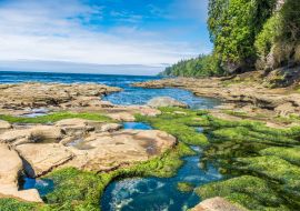 Lais Puzzle - Wanderung auf dem zerklüfteten Juan de Fuca Marine Trail durch wunderschöne Strände und uralte Wälder an der Südwestküste von Vancouver Island, British Columbia, Kanada - 1.000 Teile