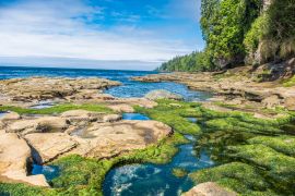 Lais Puzzle - Wanderung auf dem zerklüfteten Juan de Fuca Marine Trail durch wunderschöne Strände und uralte Wälder an der Südwestküste von Vancouver Island, British Columbia, Kanada - 2.000 Teile