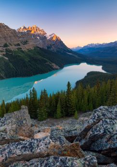 Lais Puzzle - Peyto Lake im Banff National Park, Alberta, Kanada bei Sonnenaufgang - 1.000 Teile