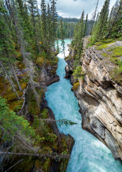 Lais Puzzle - Eine enge Schlucht am Icefield Parkway in British Columbia - 1.000 Teile