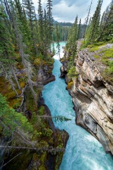Lais Puzzle - Eine enge Schlucht am Icefield Parkway in British Columbia - 2.000 Teile