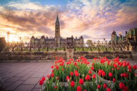 Lais Puzzle - Blick auf das kanadische Parlamentsgebäude in Ottawa während des Tulpenfestes - 2.000 Teile