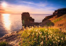 Lais Puzzle - Blick auf einen Strand auf Bell Island, Neufundland, Kanada bei Sonnenuntergang - 1.000 Teile