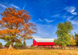 Lais Puzzle - Typische kanadische Landschaften in Ontario - 1.000 Teile