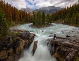 Lais Puzzle - Frau steht am Rande einer Klippe an einem wunderschönen Wasserfall in den kanadischen Rockies während eines Sommertages. Aufgenommen in Sunwapta Falls, Jasper, Alberta, Kanada - 40, 100, 200, 500, 1.000 & 2.000 Teile