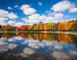 Lais Puzzle - Herbstbäume im Spiegel des Beaver Lake, Mont Royal, Montreal, Quebec, Kanada - 40, 100, 200, 500, 1.000 & 2.000 Teile