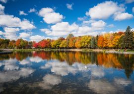 Lais Puzzle - Herbstbäume im Spiegel des Beaver Lake, Mont Royal, Montreal, Quebec, Kanada - 1.000 Teile