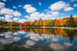 Lais Puzzle - Herbstbäume im Spiegel des Beaver Lake, Mont Royal, Montreal, Quebec, Kanada - 2.000 Teile