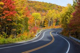 Lais Puzzle - Herbststraße im Mauricie-Nationalpark, Kanada - 2.000 Teile