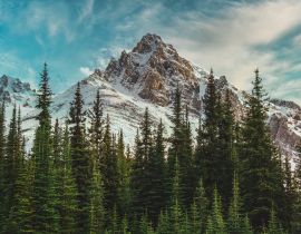 Lais Puzzle - Blick auf die kanadischen Rocky Mountains im Banff National Park in Alberta - 40, 100, 200, 500, 1.000 & 2.000 Teile
