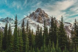 Lais Puzzle - Blick auf die kanadischen Rocky Mountains im Banff National Park in Alberta - 2.000 Teile