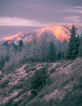 Lais Puzzle - Highway of Tears - Hudson Bay Mountain - Morgenglut - 40, 100, 200, 500, 1.000 & 2.000 Teile
