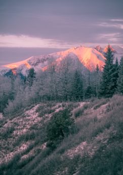 Lais Puzzle - Highway of Tears - Hudson Bay Mountain - Morgenglut - 1.000 Teile