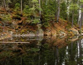 Lais Puzzle - Die Wildnis von Algonquin in Kanada - 40, 100, 200, 500, 1.000 & 2.000 Teile