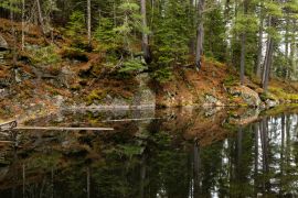Lais Puzzle - Die Wildnis von Algonquin in Kanada - 2.000 Teile