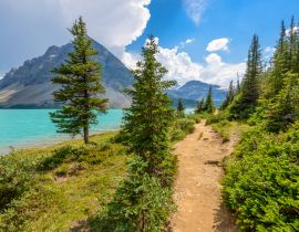 Lais Puzzle - Fragment eines Bergseewegs in Alberta, Kanada, Rocky Mountains - 40, 100, 200, 500, 1.000 & 2.000 Teile