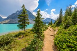 Lais Puzzle - Fragment eines Bergseewegs in Alberta, Kanada, Rocky Mountains - 2.000 Teile