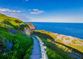 Lais Puzzle - Signal Hill Walkway in St. John Neufundland, Kanada mit blauem Himmel im Hintergrund im Sommer - 1.000 Teile