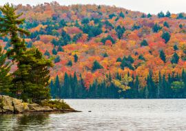 Lais Puzzle - Herbstfarben im Algonquin Park, Ontario, Kanada - 1.000 Teile