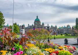 Lais Puzzle - Gesetzgebende Versammlung von British Columbia. Parlamentarische Gärten mit Blumen, Vancouver Island - 1.000 Teile