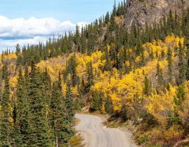 Lais Puzzle - Erstaunlicher Blick auf den Highway nach Atlin, nördliches British Columbia, mit Herbstszenen und gelben Herbstfarben - 40, 100, 200, 500, 1.000 & 2.000 Teile