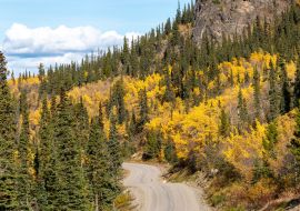 Lais Puzzle - Erstaunlicher Blick auf den Highway nach Atlin, nördliches British Columbia, mit Herbstszenen und gelben Herbstfarben - 1.000 Teile