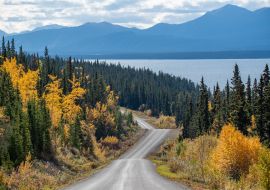 Lais Puzzle - Erstaunlicher Blick auf den Highway nach Atlin, nördliches British Columbia, mit Herbstszenen und gelben Herbstfarben. Aufgenommen in der Nähe der Grenze zum Yukon Territory in Kanada - 1.000 Teile