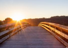 Lais Puzzle - Brücke, die über einen Fluss in einem Stadtpark führt. Sonniger Sommer-Sonnenuntergang. Colony Farm Regional Park, Port Coquitlam, Vancouver, British Columbia, Kanada - 1.000 Teile