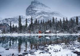 Lais Puzzle - Lake O'hara mit Holzhütte und schneebedecktem Kiefernwald an einem düsteren Tag im Yoho-Nationalpark - 1.000 Teile