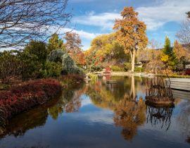 Lais Puzzle - Ikeda Japanese Garden im Herbst in Penticton, BC - 40, 100, 200, 500, 1.000 & 2.000 Teile