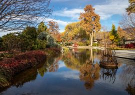 Lais Puzzle - Ikeda Japanese Garden im Herbst in Penticton, BC - 1.000 Teile
