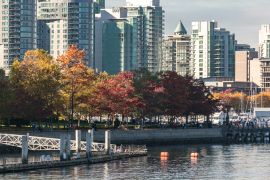 Lais Puzzle - Herbstlicher Park in der Innenstadt von Vancouver, British Columbia, Kanada. Herbstliches Stadtbild in Vancouver - 2.000 Teile