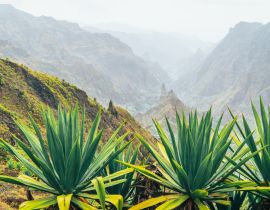 Lais Puzzle - Insel Santo Antao auf Cabo Verde. Vulkanlandschaft mit Bergkanten über dem Tal, bewachsen mit Agavenpflanzen - 40, 100, 200, 500, 1.000 & 2.000 Teile