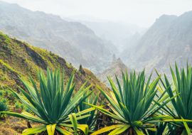 Lais Puzzle - Insel Santo Antao auf Cabo Verde. Vulkanlandschaft mit Bergkanten über dem Tal, bewachsen mit Agavenpflanzen - 1.000 Teile