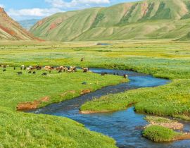 Lais Puzzle - Schafherde auf der Weide entlang eines Bergflusses, Naryn-Schlucht, Region Naryn, Kirgisistan - 40, 100, 200, 500, 1.000 & 2.000 Teile