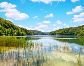 Lais Puzzle - Schöne Landschaft im Nationalpark der Plitvicer Seen, Kroatien - 40, 100, 200, 500, 1.000 & 2.000 Teile