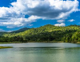 Lais Puzzle - Las Terrazas, Kuba - 40, 100, 200, 500, 1.000 & 2.000 Teile