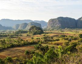 Lais Puzzle - Kuba - Tabakanbau in Vinales - 40, 100, 200, 500, 1.000 & 2.000 Teile